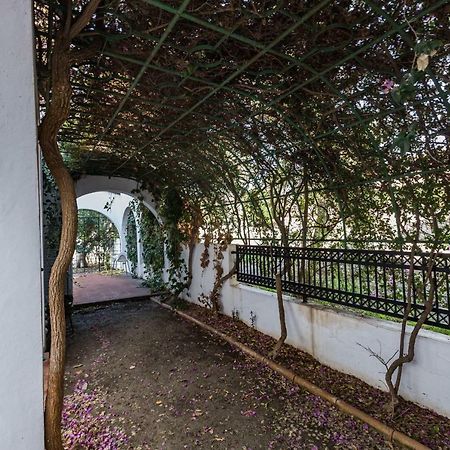 Villa Papaya Residence Пафос Екстер'єр фото